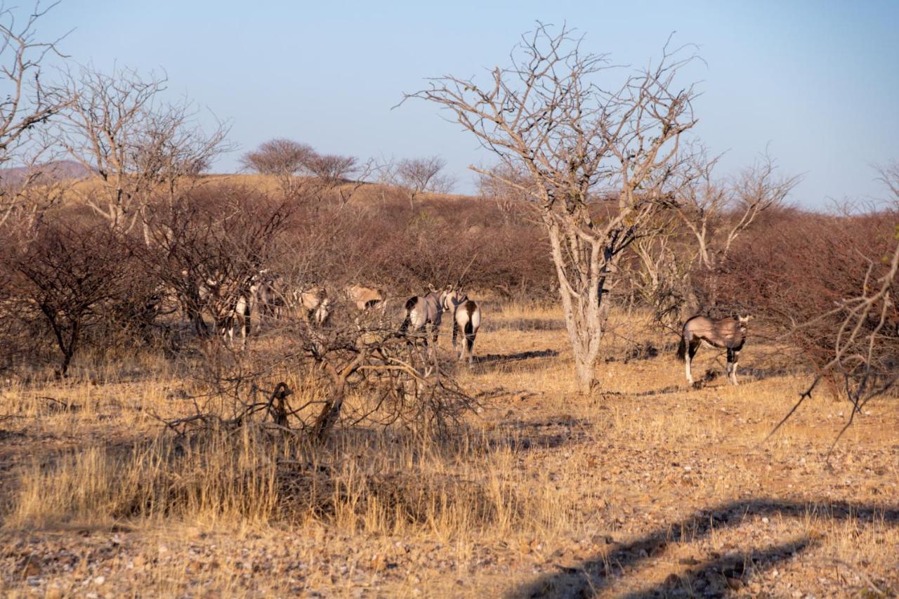 Ugab Game Farm & Lodge Vingerklip Екстериор снимка